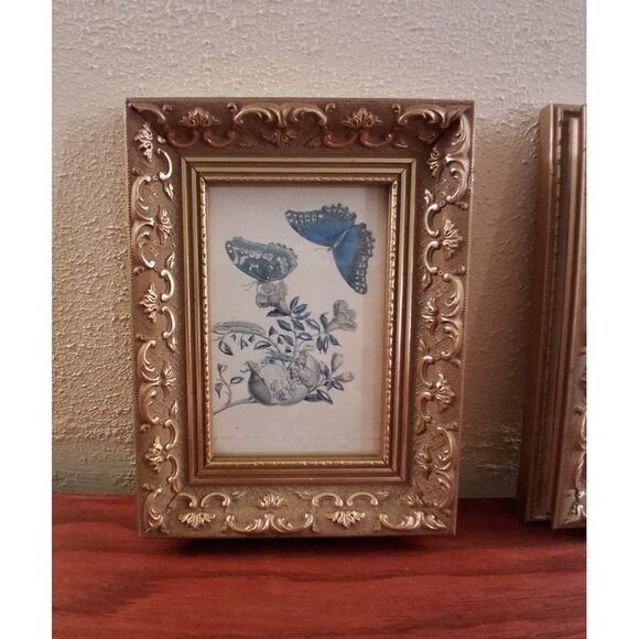 Gold Gilt Frame Wood Gesso Ornate Butterfly Print Blue Canada Vintage Set of 2 - Picture 3 of 8